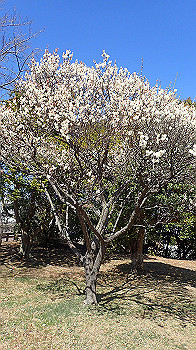 p2280636_thumb.jpg