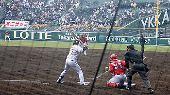 dsc02753_thumb.jpg