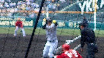 p3090593_thumb.jpg