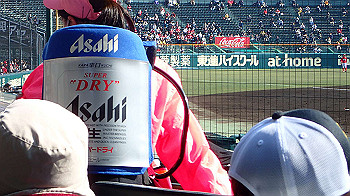 p3090599_thumb.jpg