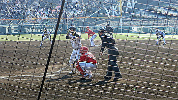 p3090601_thumb.jpg
