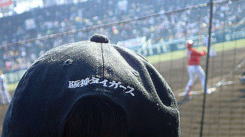 p3090606_thumb.jpg