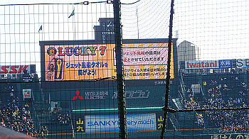 p3090611_thumb.jpg