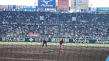p3090620_x264.mp4_snapshot_00.00_thumb.jpg