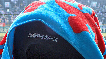p3090627_thumb.jpg
