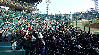 p3090636_thumb.jpg