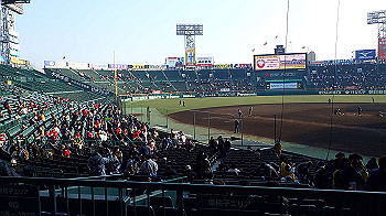 p3090637_thumb.jpg