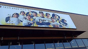 p3090642_thumb.jpg