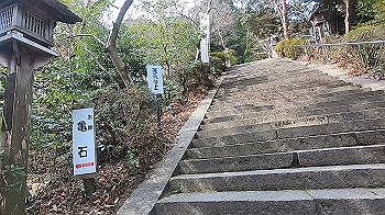 gx015866.mp4_snapshot_00.19_thumb.jpg