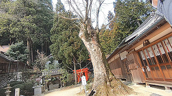 gx015866.mp4_snapshot_00.56_thumb.jpg