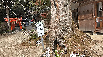 gx015866.mp4_snapshot_01.17_thumb.jpg
