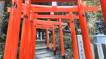 gx015866.mp4_snapshot_01.40_thumb.jpg