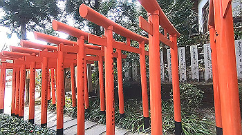gx015866.mp4_snapshot_02.49_thumb.jpg
