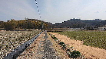 gx015870.mp4_snapshot_00.00_thumb.jpg
