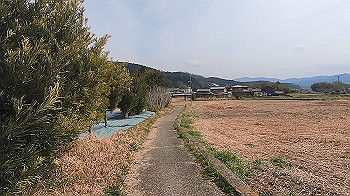 gx015871.mp4_snapshot_05.38_thumb.jpg