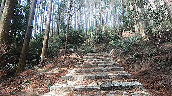 gx015872.mp4_snapshot_01.10_thumb.jpg
