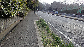 p3110001_thumb.jpg
