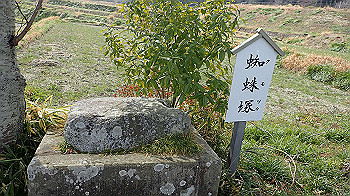 p3110006_thumb.jpg