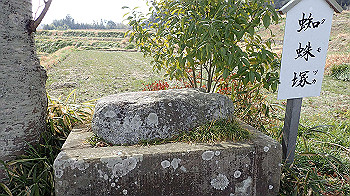 p3110007_thumb.jpg