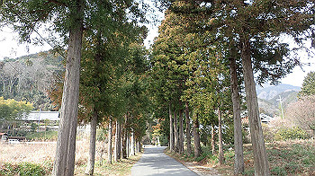 p3110009_thumb.jpg