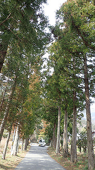 p3110011_thumb.jpg