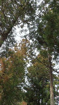 p3110012_thumb.jpg