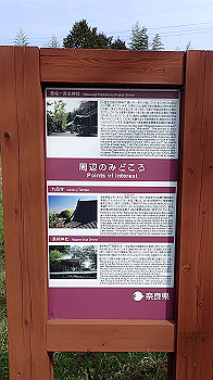 p3110015_thumb.jpg