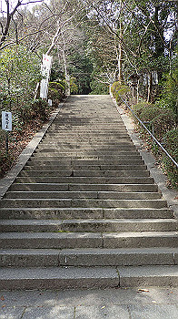 p3110020_thumb.jpg