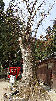 p3110022_thumb.jpg