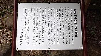 p3110037_thumb.jpg