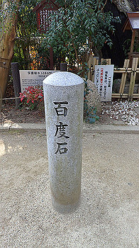 p3110040_thumb.jpg