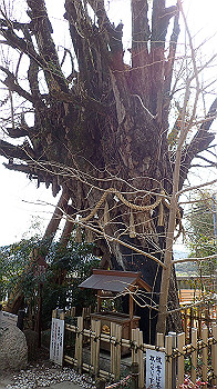 p3110042_thumb.jpg