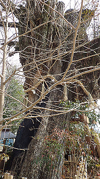 p3110044_thumb.jpg