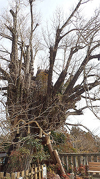 p3110045_thumb.jpg