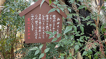 p3110052_thumb.jpg