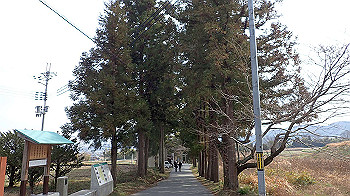 p3110058_thumb.jpg