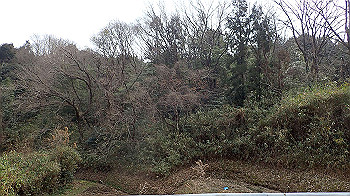 p3110072_thumb.jpg