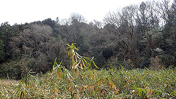 p3110074_thumb.jpg