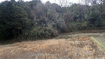 p3110075_thumb.jpg