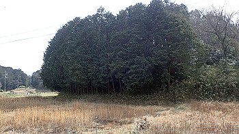 p3110076_thumb.jpg