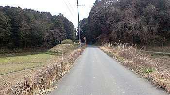 p3110080_thumb.jpg