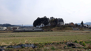 p3110082_thumb.jpg