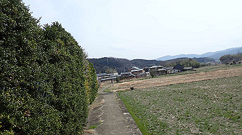 p3110093_thumb.jpg