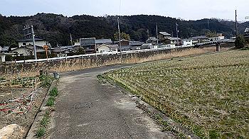 p3110096_thumb.jpg