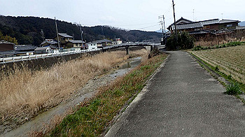 p3110097_thumb.jpg