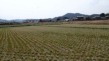 p3110098_thumb.jpg