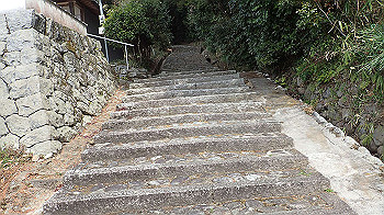 p3110117_thumb.jpg