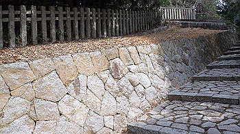 p3110127_thumb.jpg