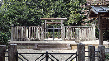 p3110129_thumb.jpg