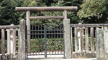 p3110130_thumb.jpg
